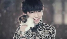 知乎爆料娱乐圈王俊凯,娱乐圈的青春偶像，揭秘他的成长之路